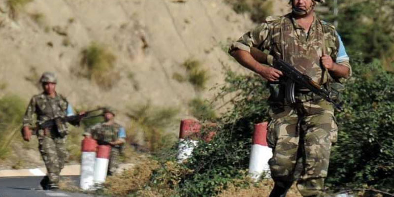 الجيش الجزائري يتمكن من القضاء على 3 إرهابيين بسكيكدة